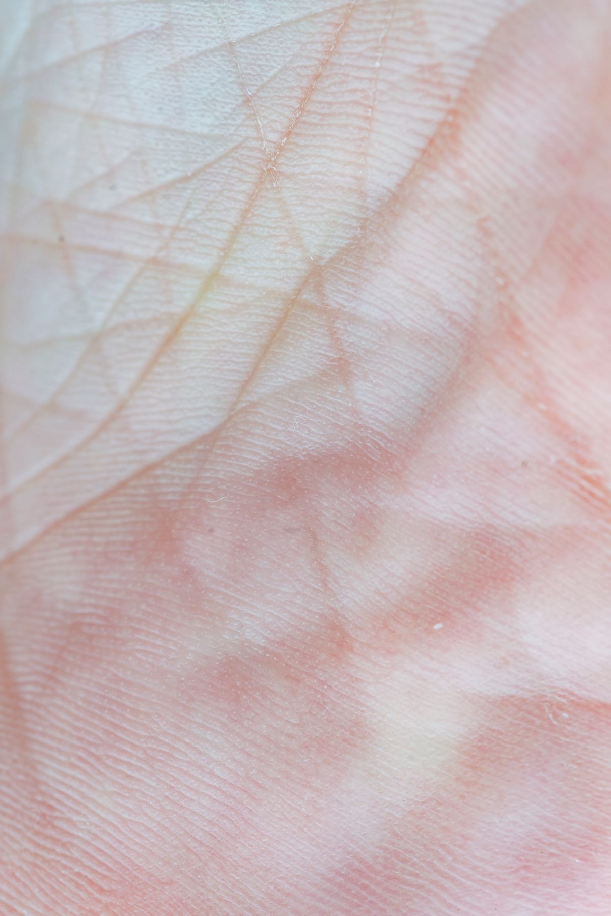 A model with luminous, well-cared-for skin